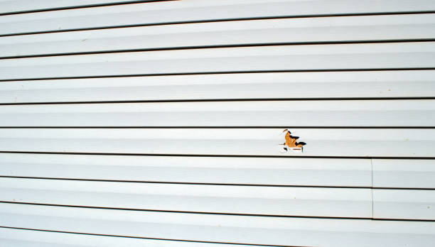 Best Aluminum Siding Installation  in Red Springs, NC