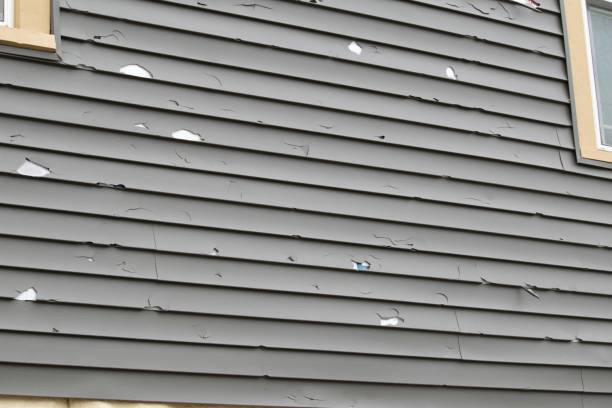 Best Wood Siding Installation  in Red Springs, NC